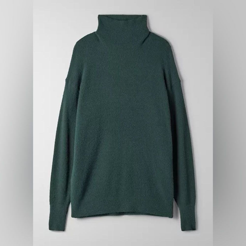 Aritzia Wilfred Free Stargazer Turtleneck